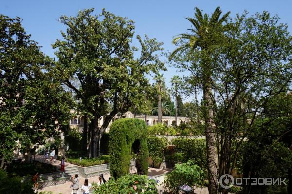 Севильский Алькасар (Reales Alcazares de Sevilla) (Испания, Севилья) фото