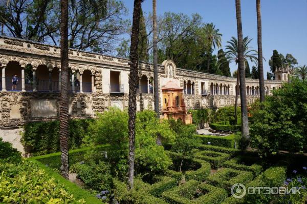 Севильский Алькасар (Reales Alcazares de Sevilla) (Испания, Севилья) фото