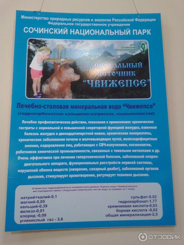 Чвижипсе