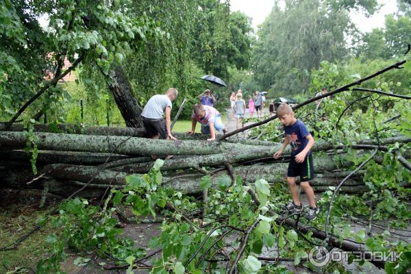 Отдых в Латвии фото