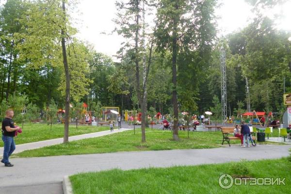 В комсомольском парке тула. Комсомольский парк Тула. Комсомольский парк Тула фото. Комсомольский парк Тула старые фото. История появления Комсомольского парка в Туле.