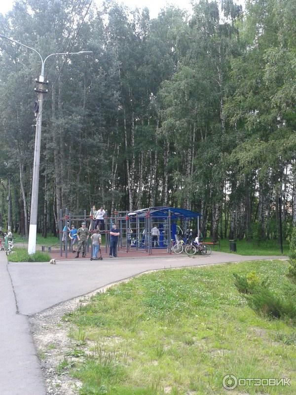 В комсомольском парке тула. Комсомольский парк Тула. Памятник у Комсомольского парка Тула.