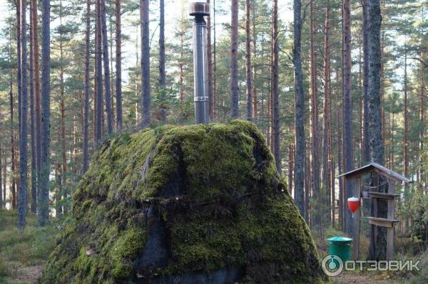 Эко-отель Лес (Россия, Ленинградская область) фото