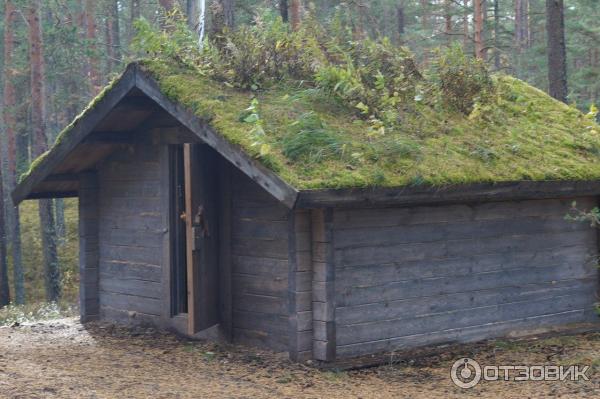 На фото представлен домик у Милаши.
