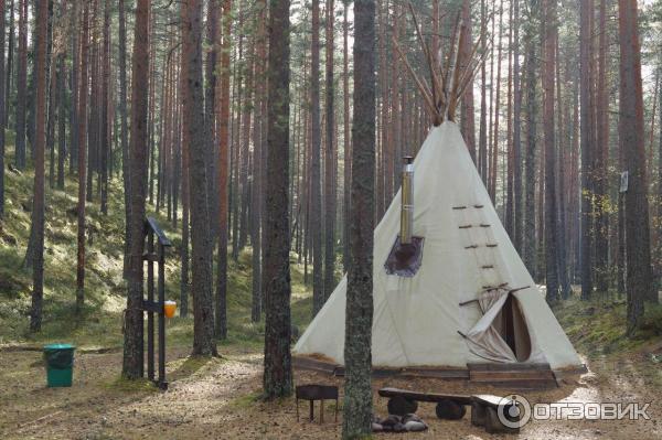 Эко-отель Лес (Россия, Ленинградская область) фото