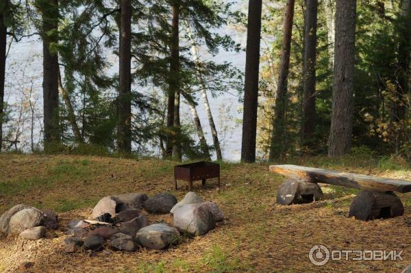 Эко-отель Лес (Россия, Ленинградская область) фото