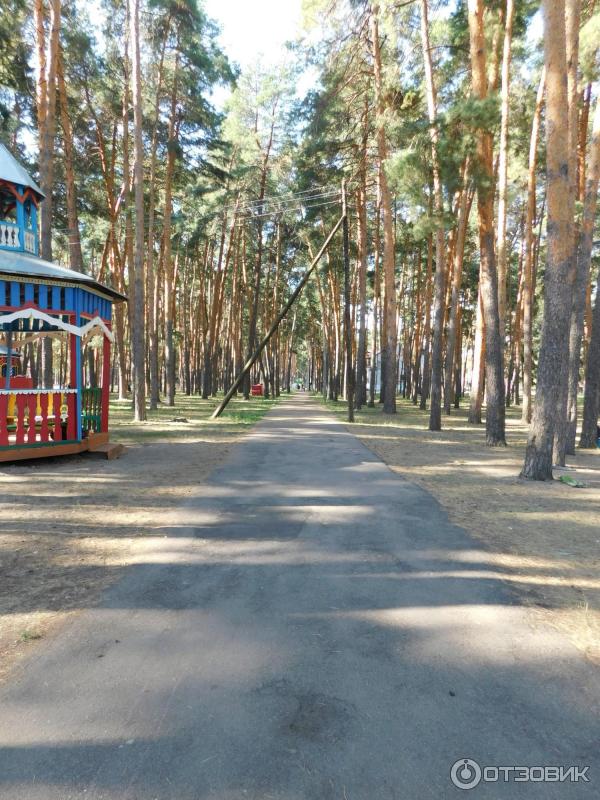 Колосок воронеж. Лагерь золотой Колос Лиски. Золотой Колос Воронеж лагерь.