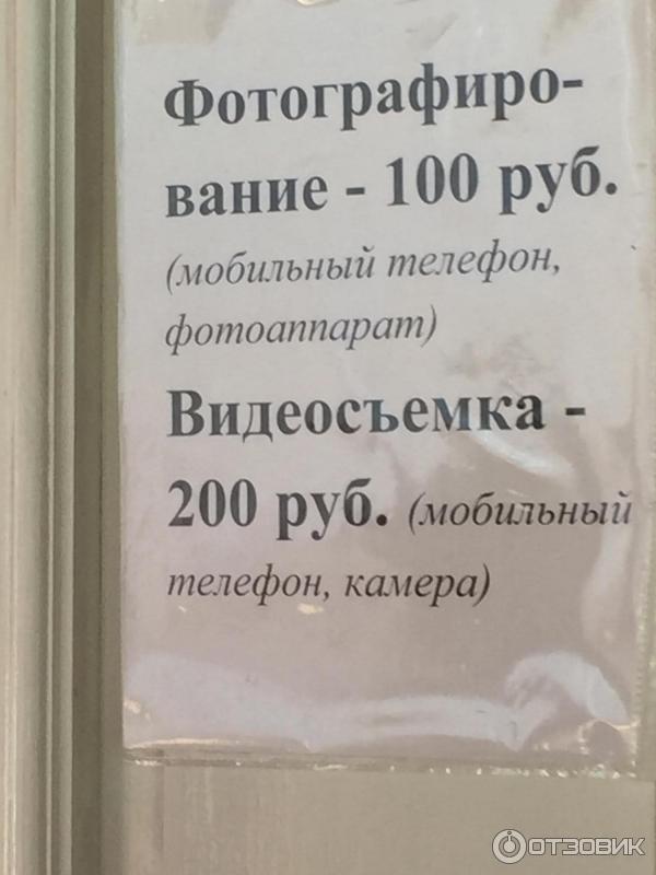 Музей А. И. Куприна (Россия, Пензенская область, Наровчат) фото