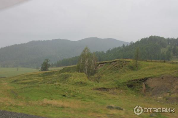 Отдых в Горном Алтае (Россия, Алтай) фото