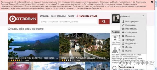 Расширение для браузера Adblock Plus фото