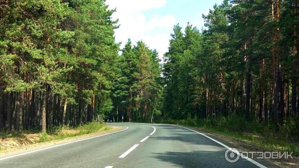 Отдых в Боровом (Казахстан, Акмолинская область) фото