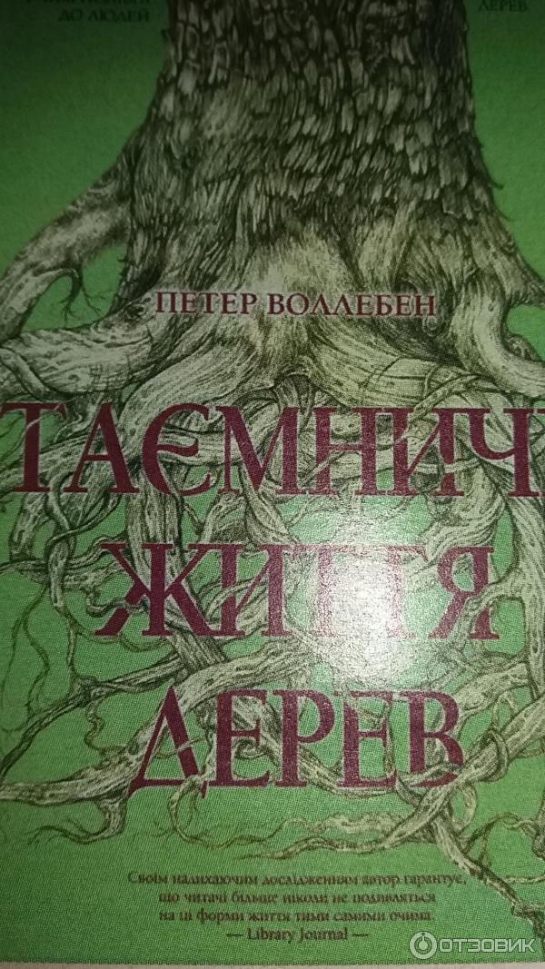 Тайны жизнь животных пернатые. Петер Вольлебен Тайная жизнь деревьев. Тайная жизнь деревьев книга Вольлебен. Дерево с книгами. Питер Вольлебен книги деревья.