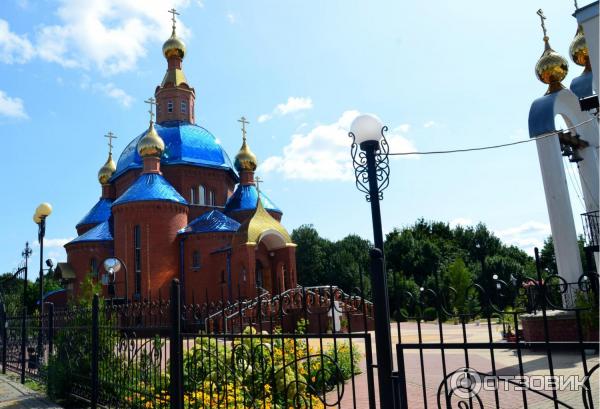 Дуб Богдана Хмельницкого в пос. Дубовое (Россия, Белгород) фото