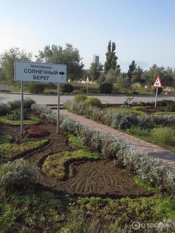 Сакское соленое озеро (Крым, Саки) фото