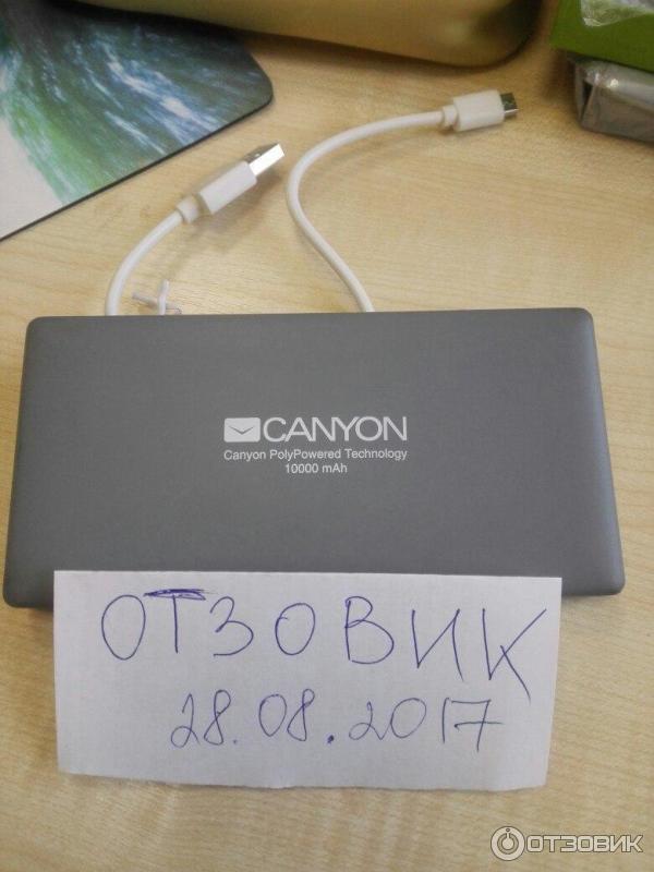 Портативное зарядное устройство Canyon 10000 mAh фото