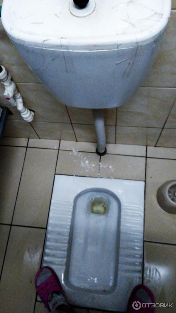 Автобусный маршрут Симферополь-Москва фото