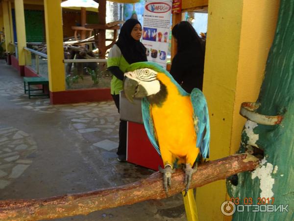 Парк Bird Paradise Wildlife Park Langkawi