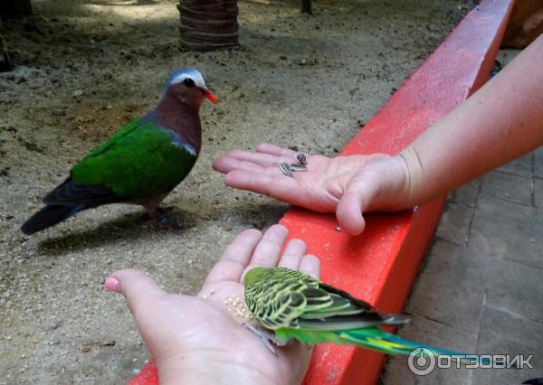 Парк Bird Paradise Wildlife Park Langkawi