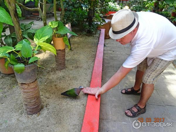 Парк Bird Paradise Wildlife Park Langkawi