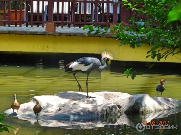 Парк Bird Paradise Wildlife Park Langkawi