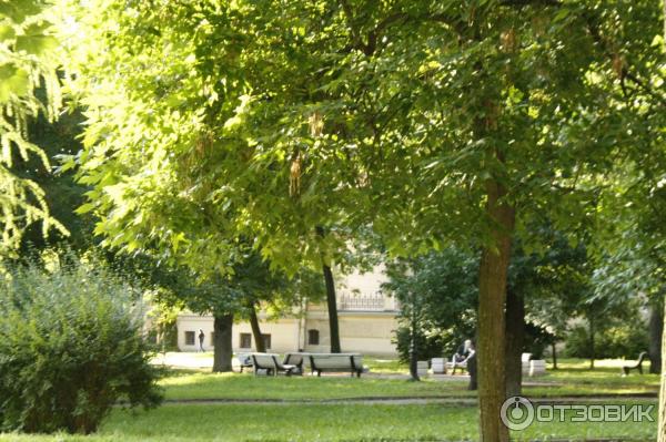 Экскурсия в Алексеевский дворец (Россия, Санкт-Петербург) фото