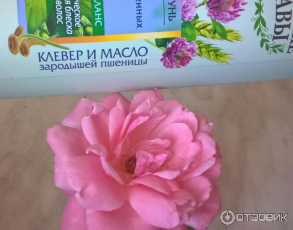 Шампунь Beauty Natural Целебные травы Для окрашенных волос фото