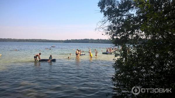 Отдых на озере Свитязь (Беларусь, Гродненская область) фото