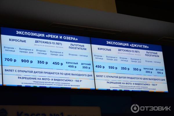 Крокус Океанариум Официальный Сайт Купить Билеты