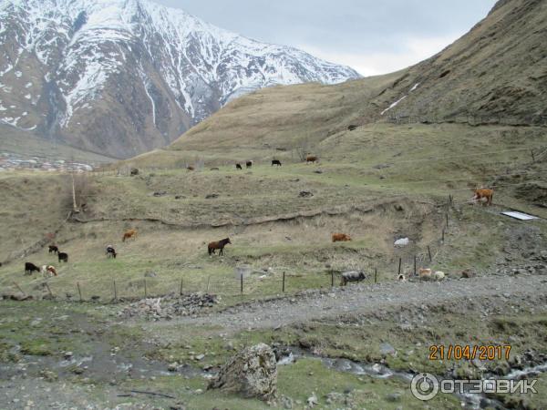 Экскурсия по Военно-Грузинской дороге (Грузия, Гудаури) фото