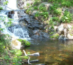 Отдых в Приморье (Россия) фото