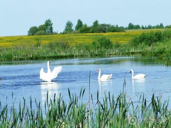 Село Великое (Россия, Ярославская область) фото