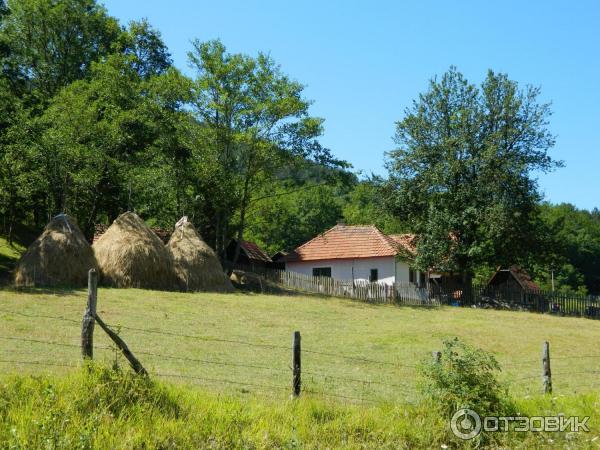 Шарганская восьмерка (Сербия, Мокра Гора) фото