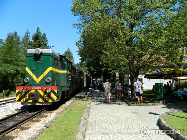 Шарганская восьмерка (Сербия, Мокра Гора) фото