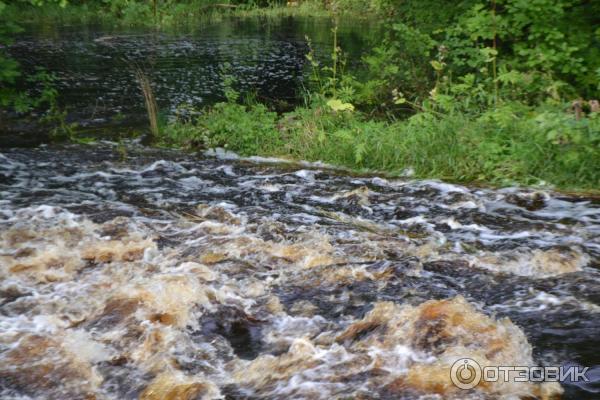 Парк-усадьба Горки (Россия, Новгородская область) фото