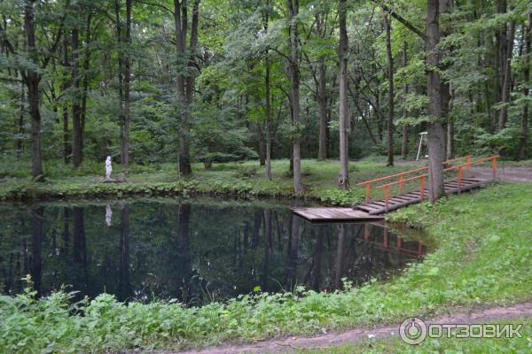 Парк-усадьба Горки (Россия, Новгородская область) фото