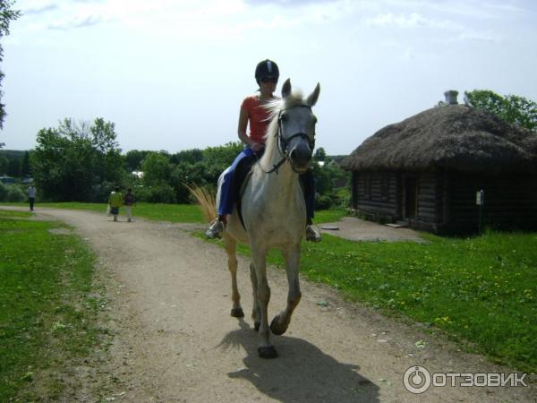 Ясная Поляна (Россия, Тульская область) фото