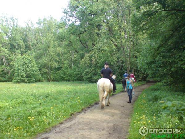 Ясная Поляна (Россия, Тульская область) фото