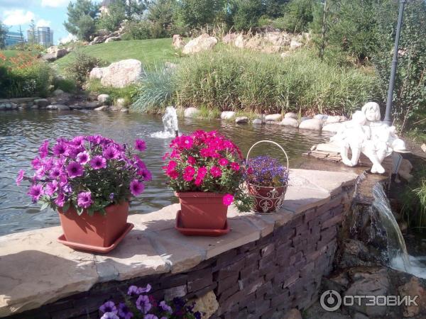 Сады Мечты Красноярск Фото Летом