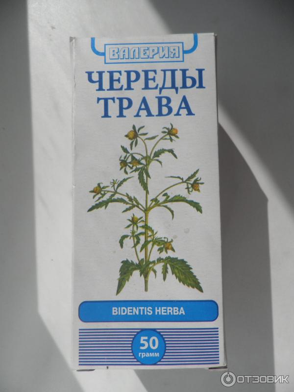 Раствор Череды Готовый Купить