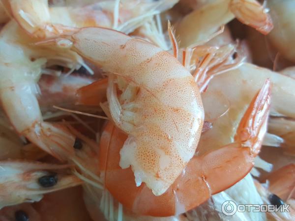 Королевские Креветки Цена