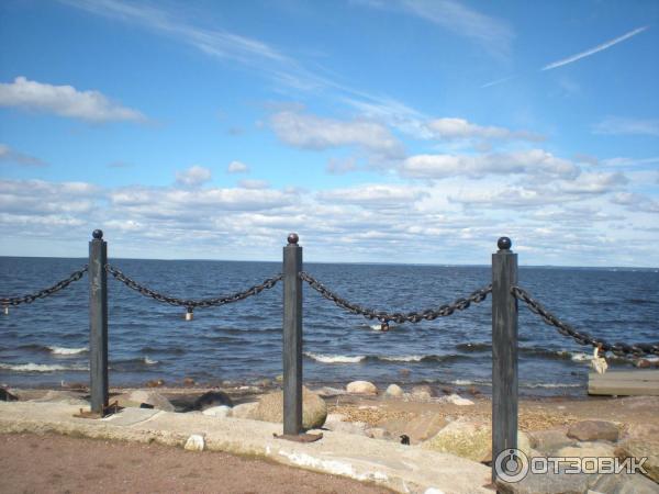 парк Дубки в Сестрорецке