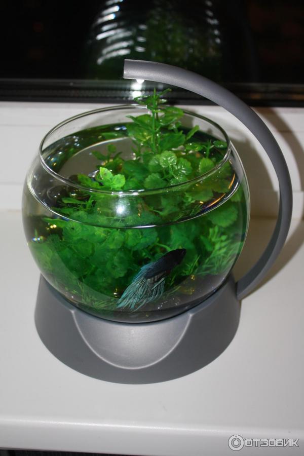 Аквариум Tetra Betta bowl фото