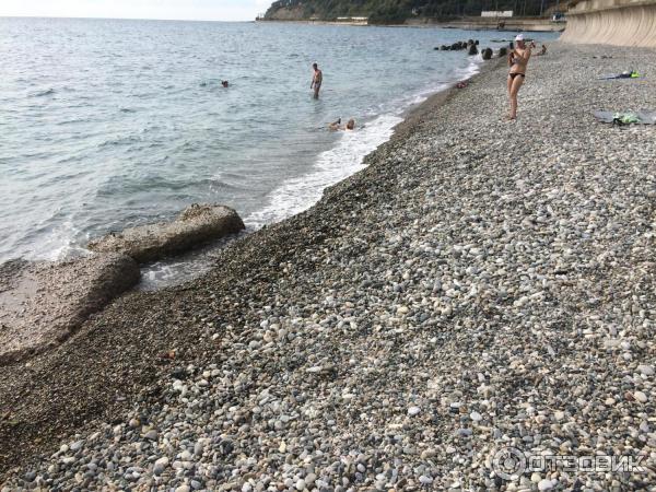 Отель Санаторий Аврора 2 (Россия, Сочи/Лазаревское) - цены, отзывы 2024, фото - 