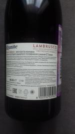 Вино игристое красное Riunite Lambrusco Emilia Amabile фото