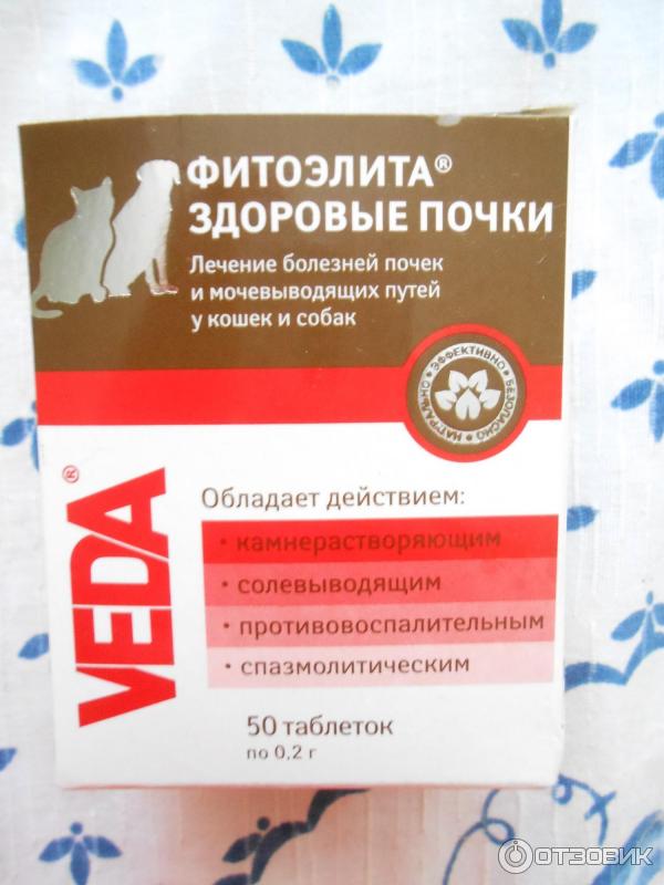 Здоровые почки для кошек