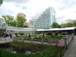 Ботанический сад МГУ (Аптекарский огород) (Россия, Москва) фото