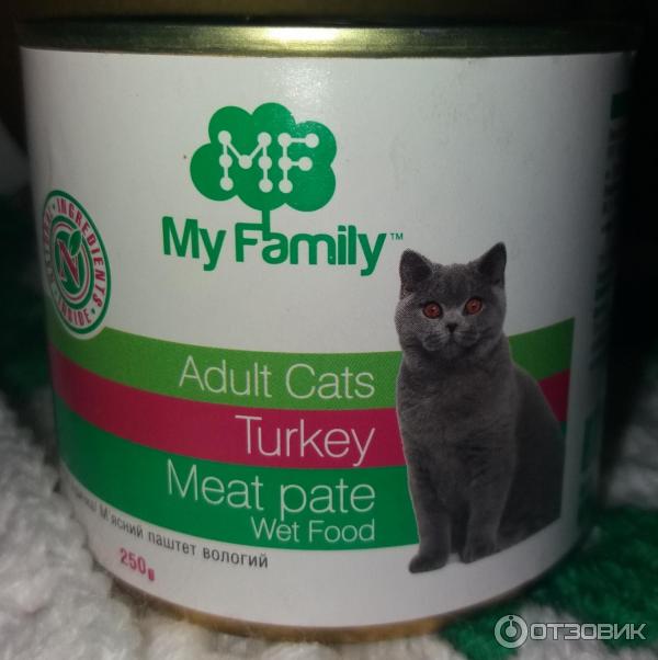 My cat be like