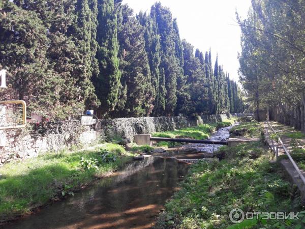 Отель Демерджи (Крым, Алушта) фото