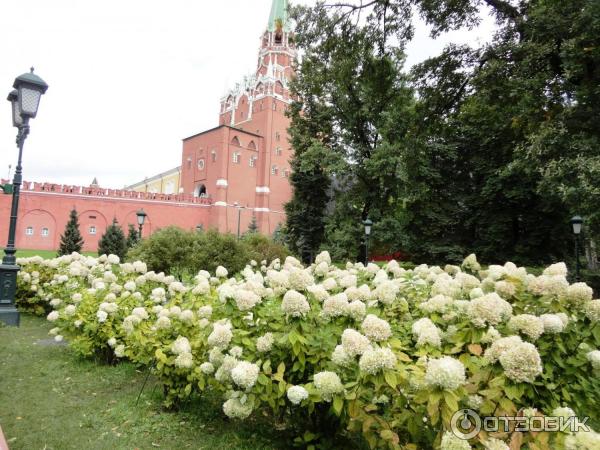 Купить Дом В Александровском Саду Магнитогорск