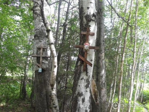 Свято-Троицкий храм села Тарасково (Россия, Свердловская область) фото